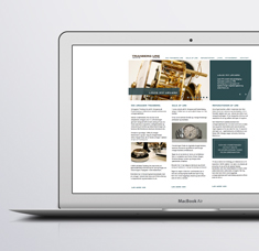 <span>Udvikling af hjemmesider</span><i>→</i>